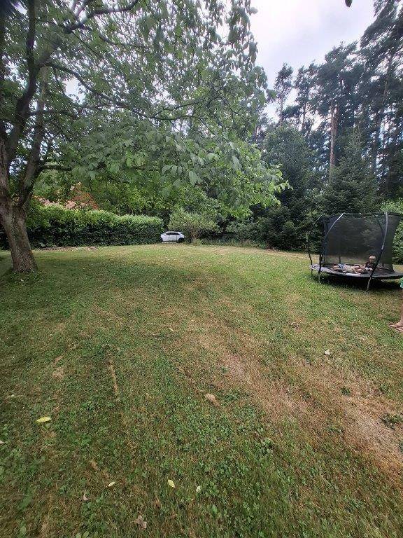 Geräumiger Garten mit Rasenfläche, großem Baum und einem Trampolin für Freizeitaktivitäten.
