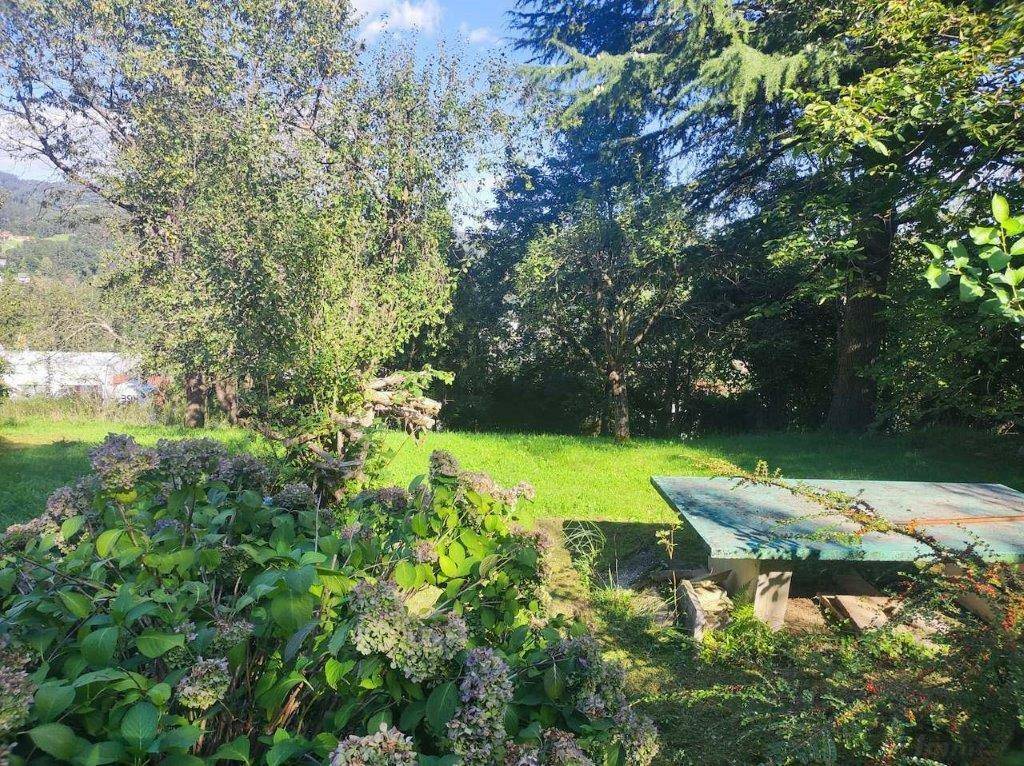 Sonniger Garten mit blühenden Sträuchern, einem rustikalen Holztisch und Bergblick im Hintergrund.