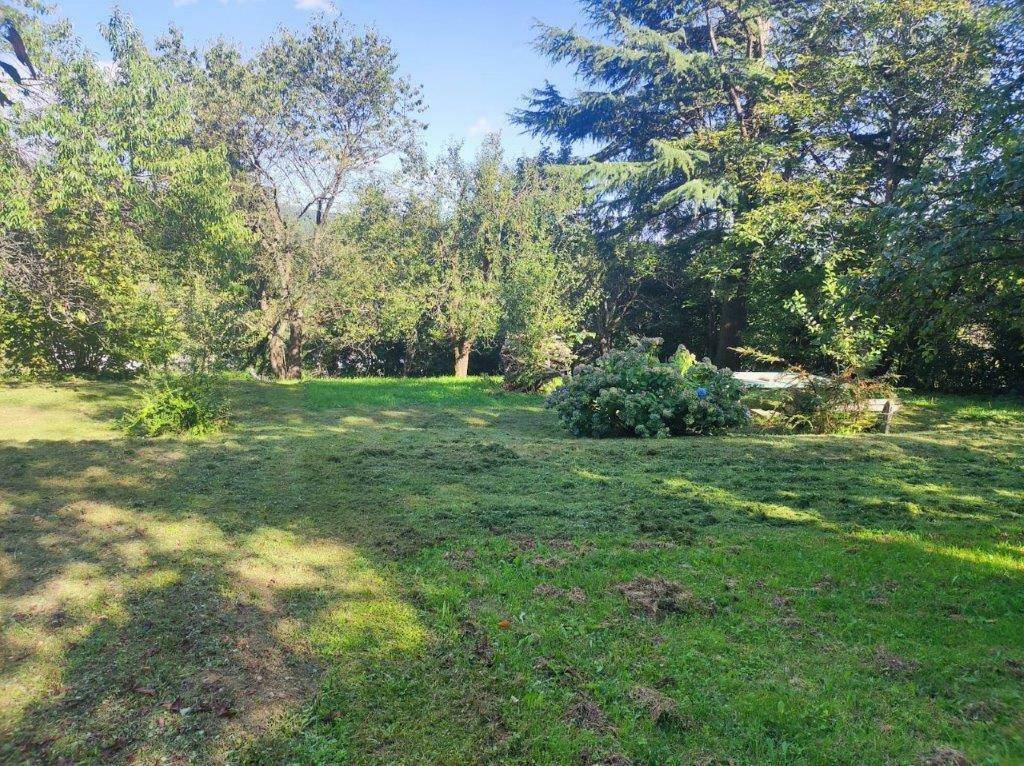 Gepflegter Garten mit frisch gemähtem Rasen, Bäumen und blühenden Sträuchern unter blauem Himmel.