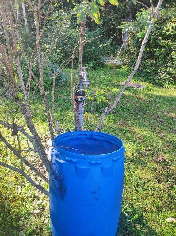 Außenwasserhahn an einem Holzpfosten mit einem blauen Fass zur Wassersammlung, umgeben von Grün.