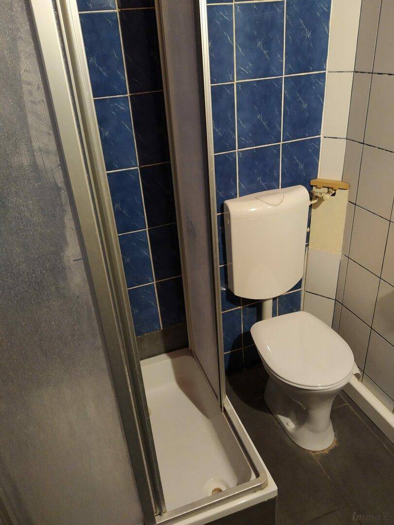 Badezimmer mit Duschkabine und Toilette, ausgestattet mit blauen Wandfliesen.