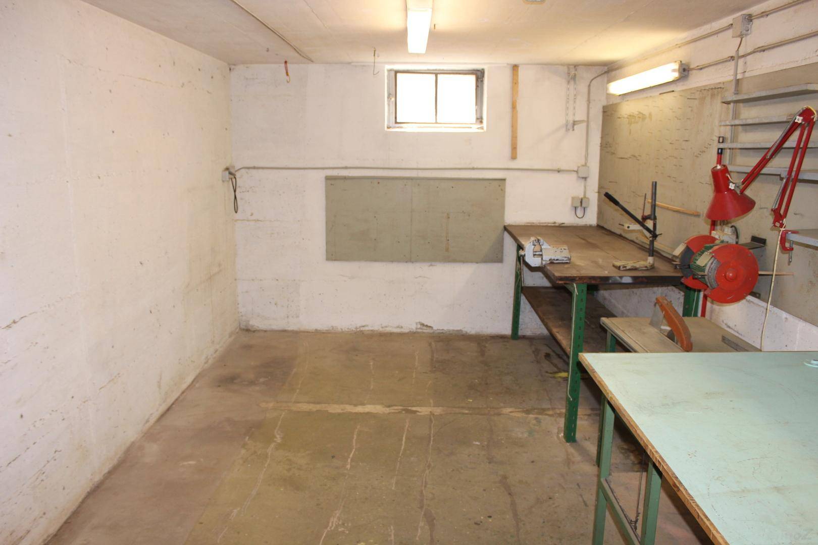 Geräumiger Kellerraum mit Werkbänken, Regalen und einem kleinen Fenster.