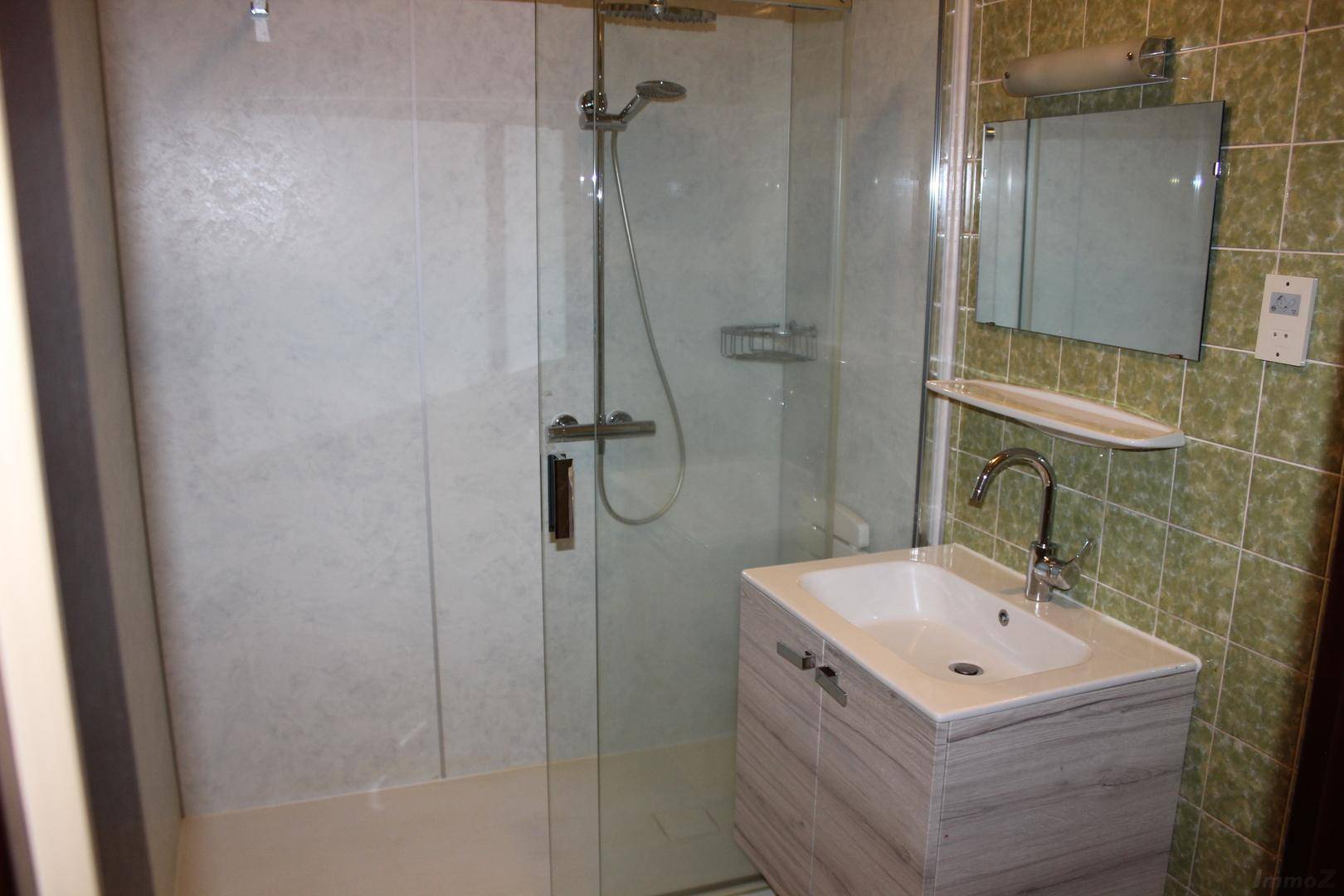 Badezimmer mit Duschkabine, Waschbecken und grün gefliesten Wänden im Retro-Stil.