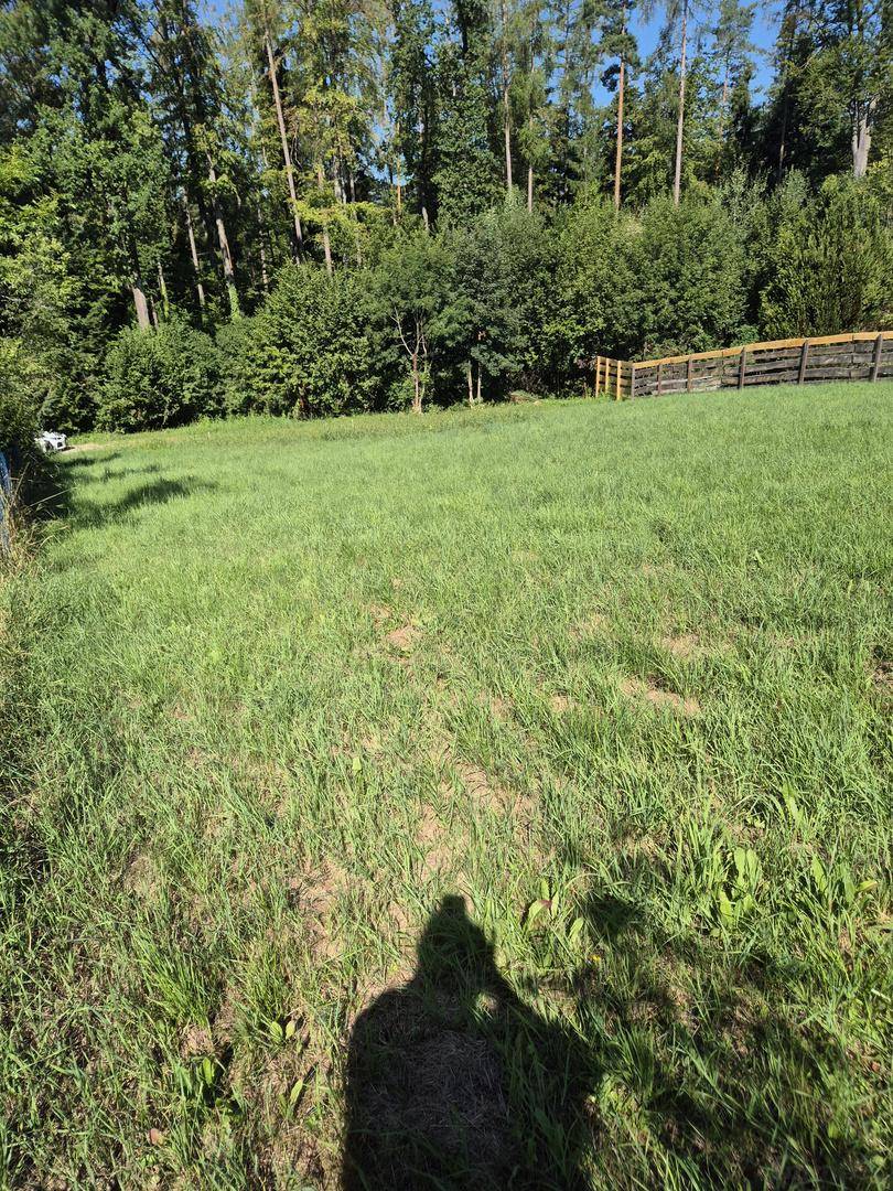 Helle Grünfläche mit hohem Gras, umgeben von dichtem Baumbestand und einem Zaun im Vordergrund.