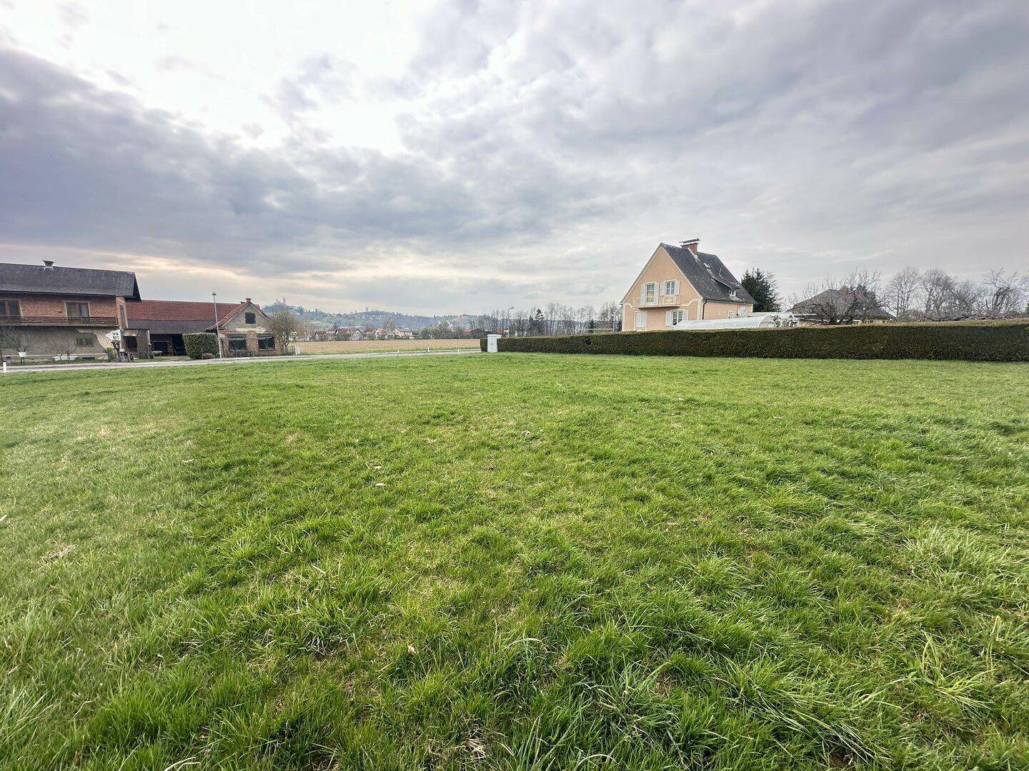 Weitläufige grüne Wiese mit einer Hecke im Hintergrund und ländlicher Bebauung am Horizont.