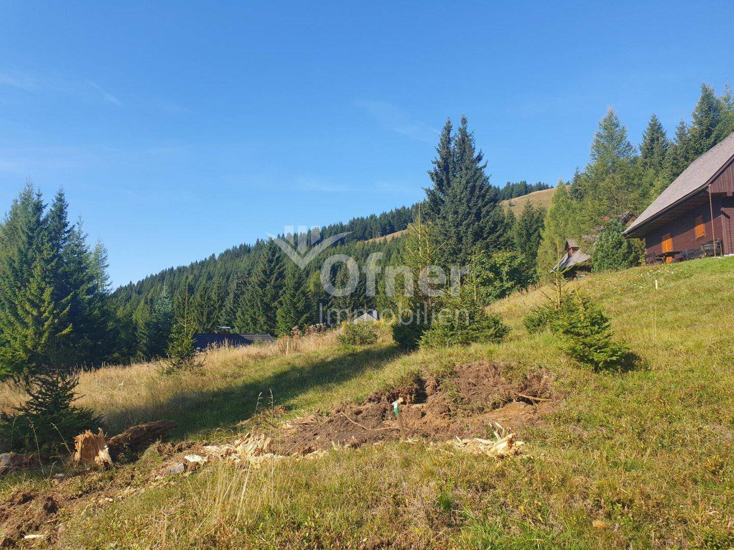 Bewaldeter Berghang mit vereinzelten Holzhäusern und weitem Blick in die Natur unter klarem Himmel.