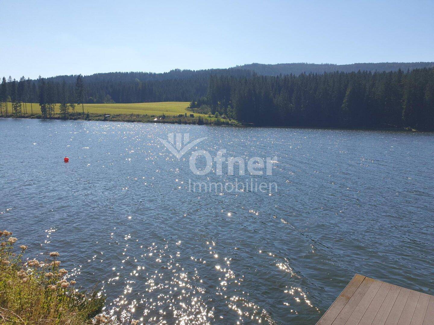 Weitläufiger See mit bewaldeten Ufern und klarem blauem Himmel, ideal für Naturliebhaber.