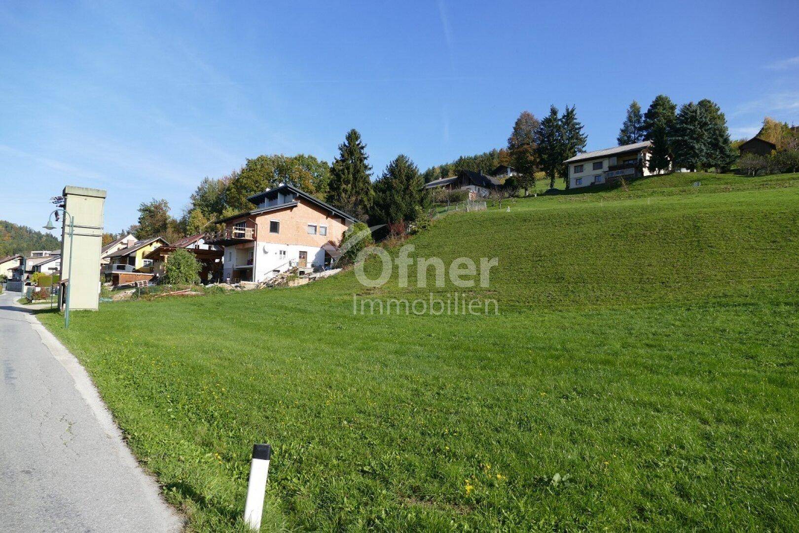 Sonniger Grünbereich mit einem Haus am Hang und einer Straße im Vordergrund.