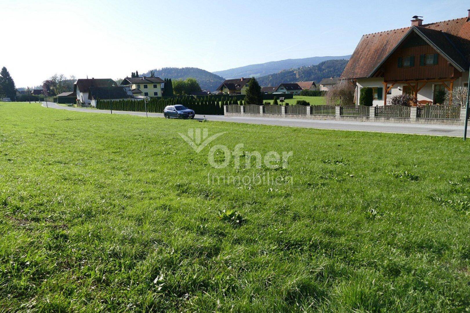 Weitläufige Rasenfläche mit Blick auf die Straße und die angrenzende Wohnbebauung.