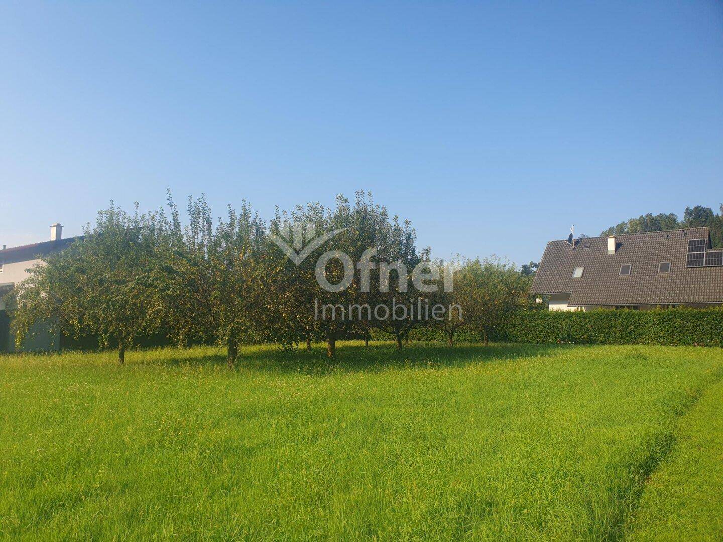 Baugrundstück mit Freiland in ruhiger Stadtrandlage - Ansicht 4