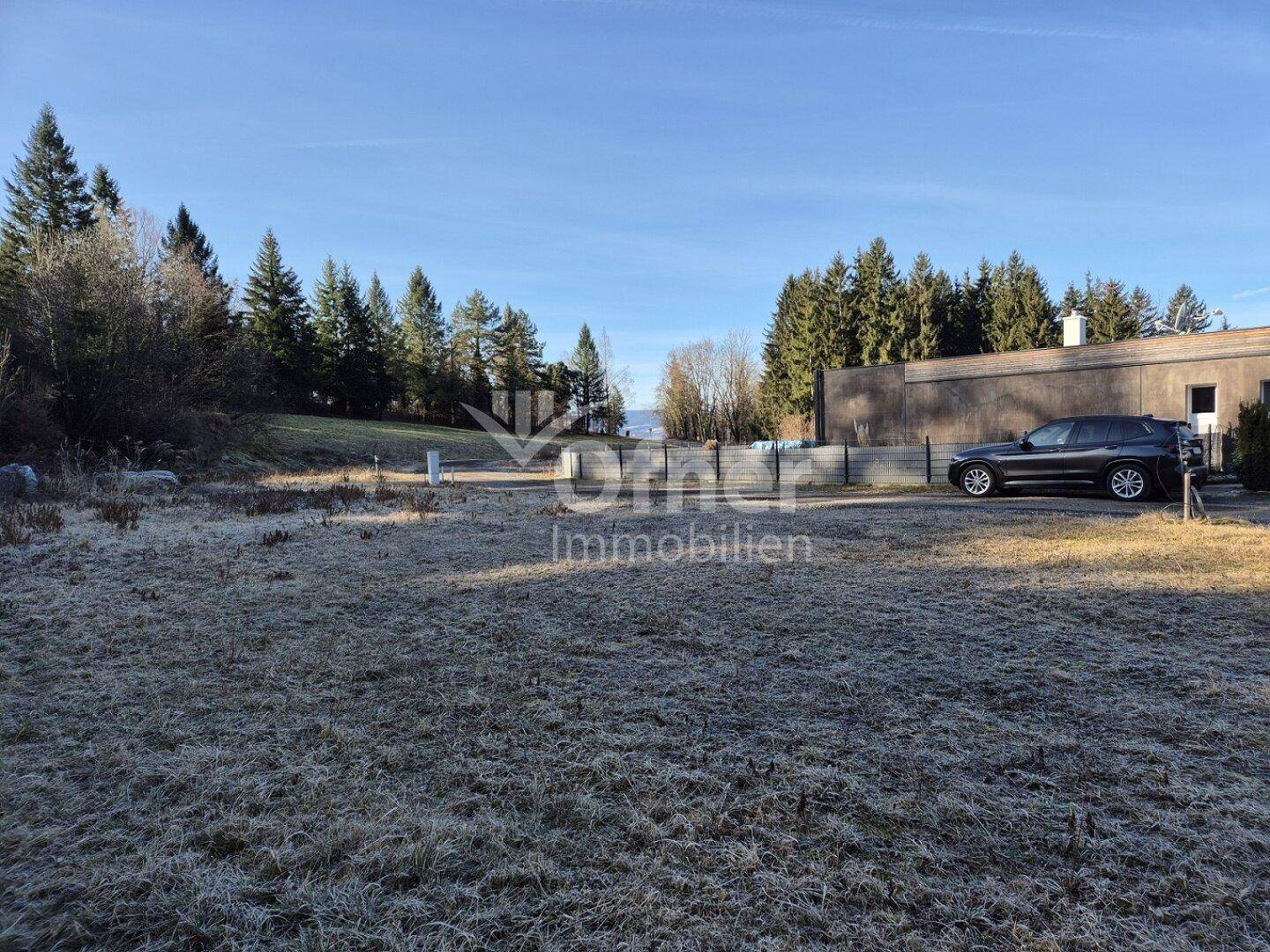 Weitläufiges Grundstück mit Baumbestand und einem geparkten Fahrzeug vor einem Nebengebäude.
