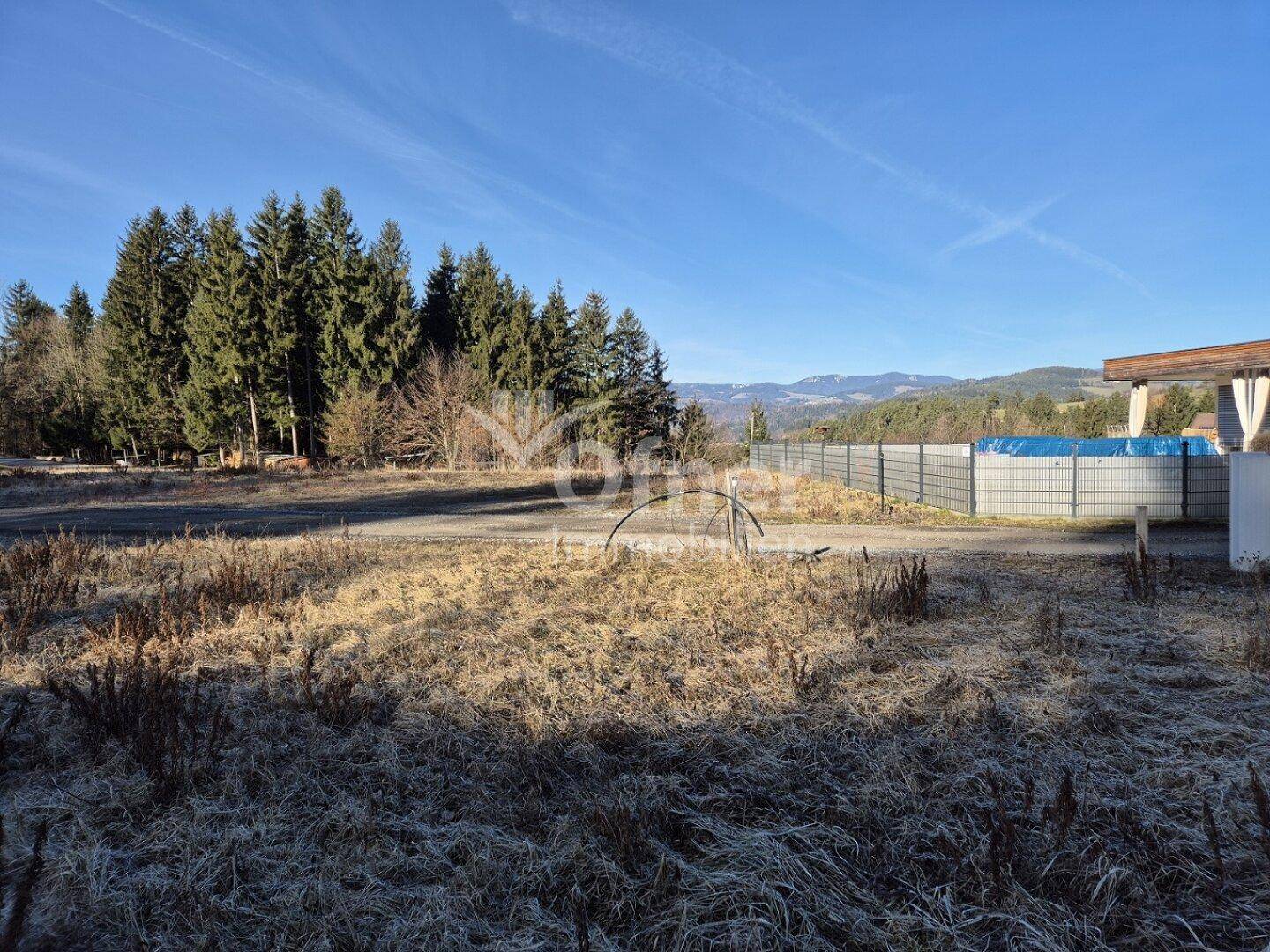 Weitläufiges Grundstück mit Baumbestand, Zaun und einem möglichen Poolbereich im Hintergrund.