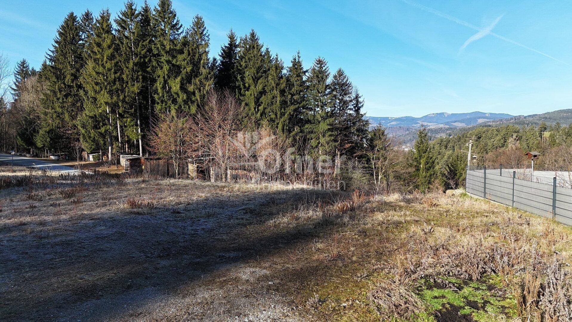Weitläufiges, offenes Grundstück mit Blick auf die umliegenden Wälder und Berge.