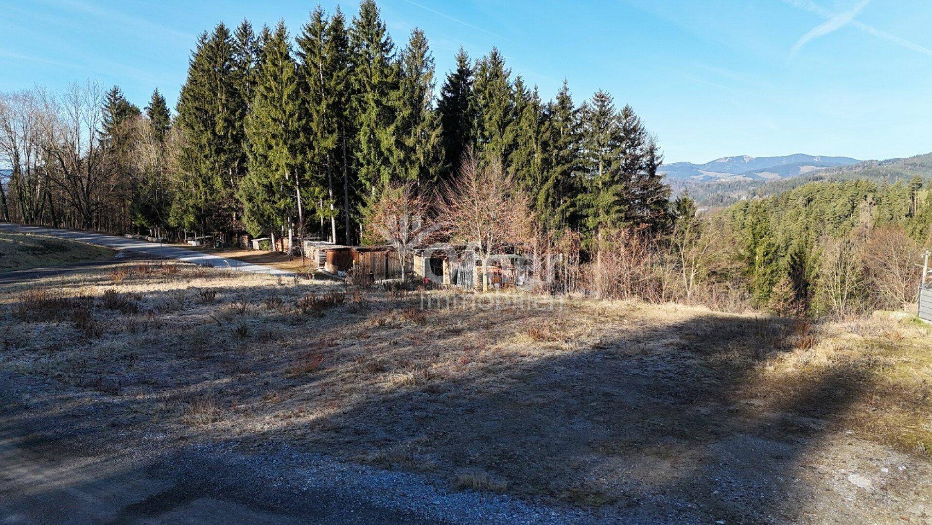 Blick über ein offenes Gelände mit Bäumen und einer weiten Aussicht auf die Landschaft.
