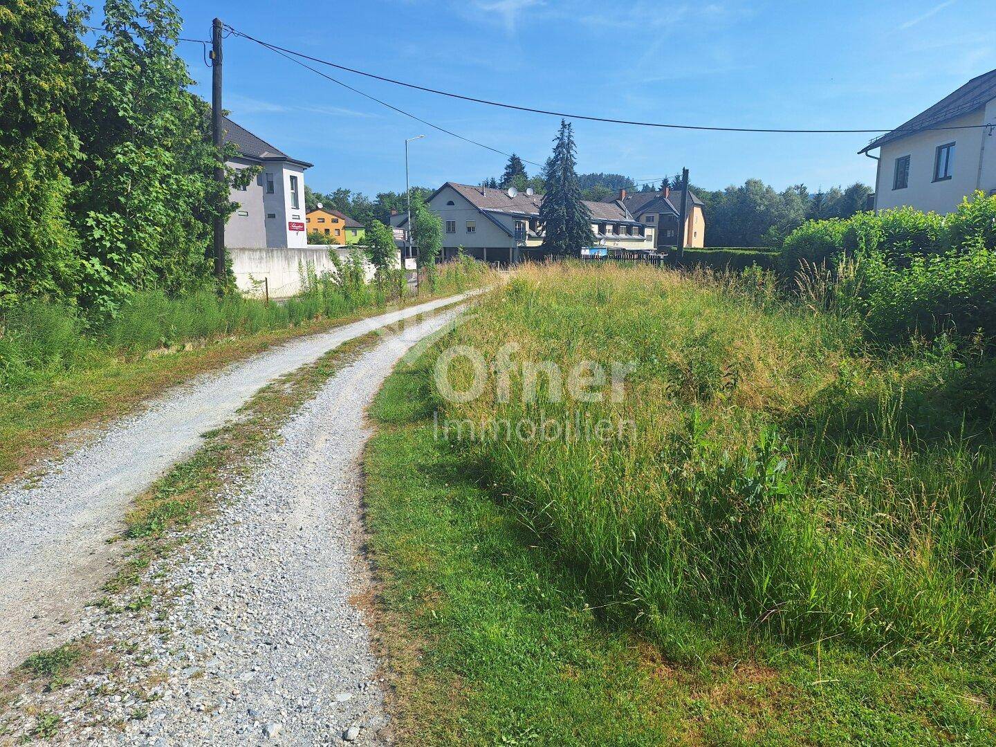 Ländlicher Schotterweg mit hohem Gras am Rand, führt zu Häusern in der Ferne unter blauem Himmel.
