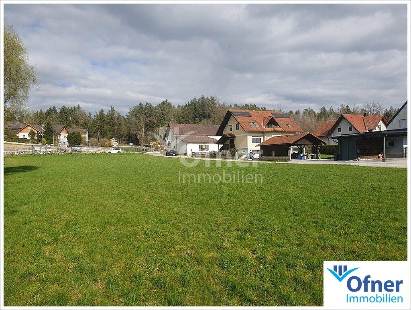 Ausgedehnte Grünfläche mit angrenzenden Häusern und Waldrand im Hintergrund.