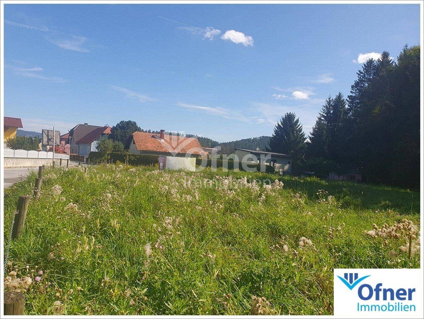 Weitläufiges, ungenutztes Grundstück mit hohen Gräsern und Bäumen im Hintergrund.