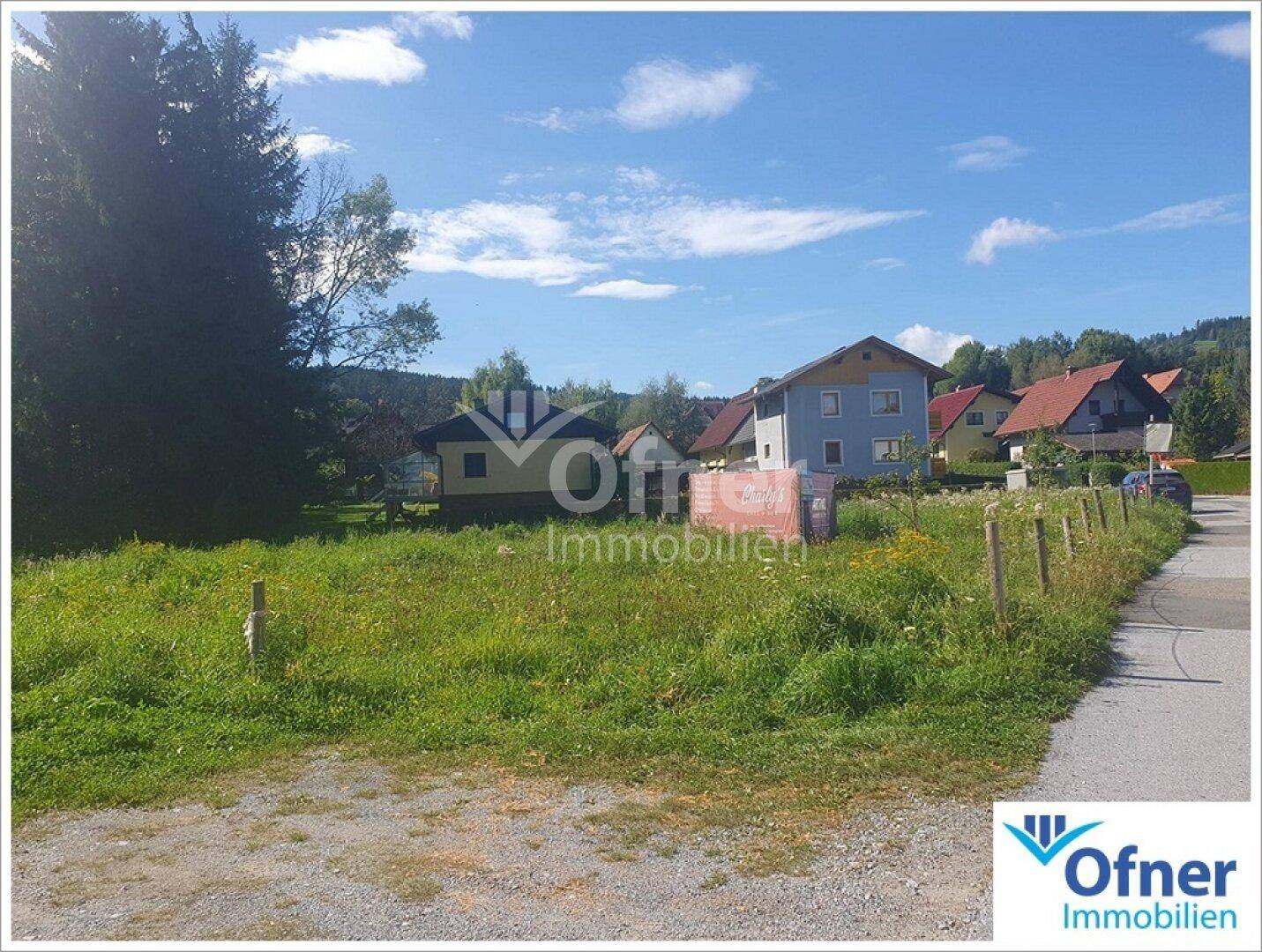 Ungenutztes Grundstück neben einer Straße mit Häusern und Bäumen im Hintergrund.