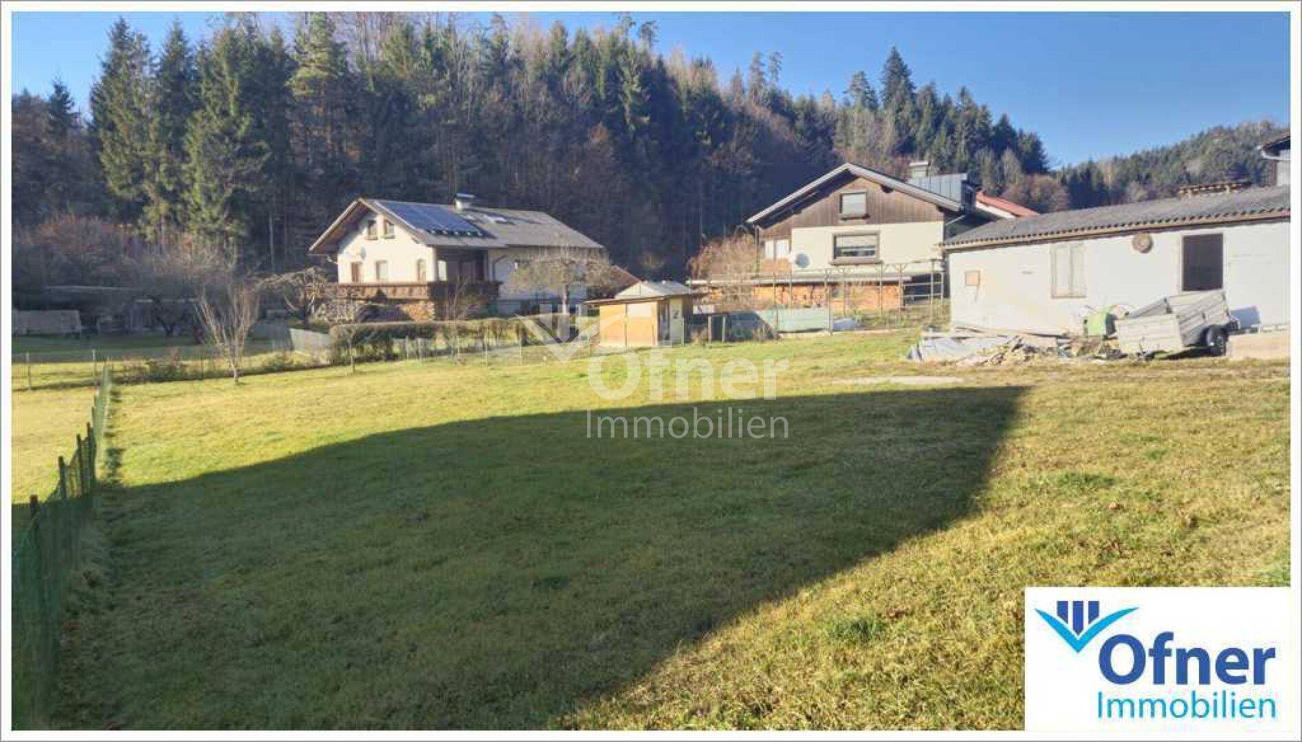 Weitläufige Grünfläche mit Wohnhäusern und dichtem Wald im Hintergrund, ideal für Naturliebhaber.