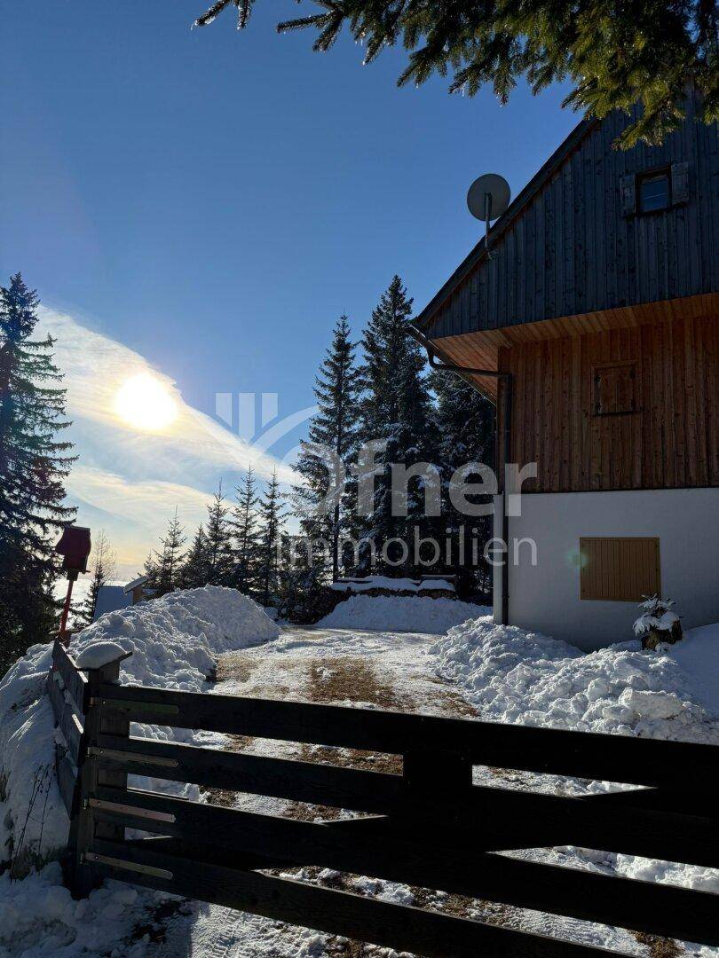 Zufahrt zum Holzhaus im Winter, umgeben von verschneiten Bäumen und sonnigem Wetter.