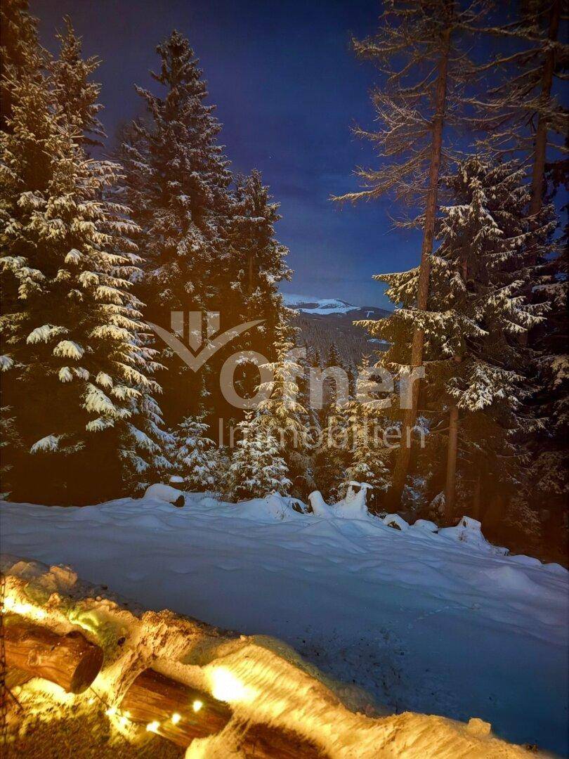 Nächtlicher Blick auf die verschneite Waldlandschaft mit beleuchtetem Vordergrund.