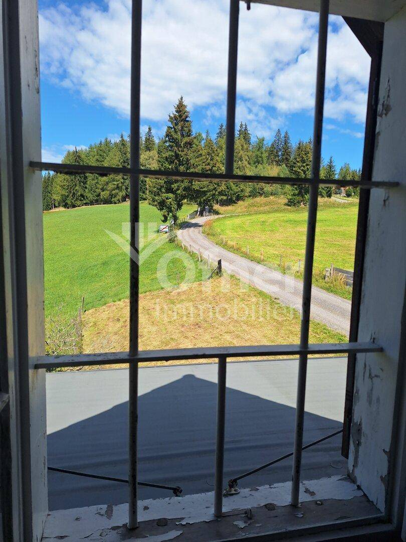 Blick aus einem Fenster mit Gitterstäben auf eine ländliche Straße und grüne Hügel.