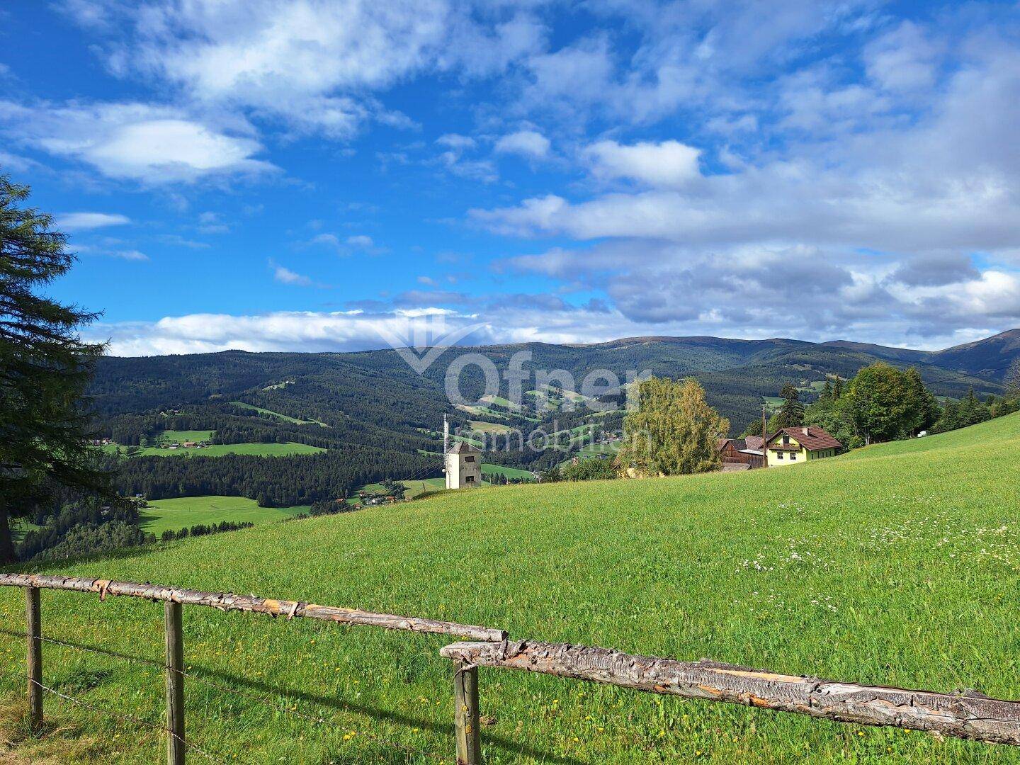 Weitläufige grüne Wiesen und bewaldete Hügel unter blauem Himmel, typisch für die Alpenregion.
