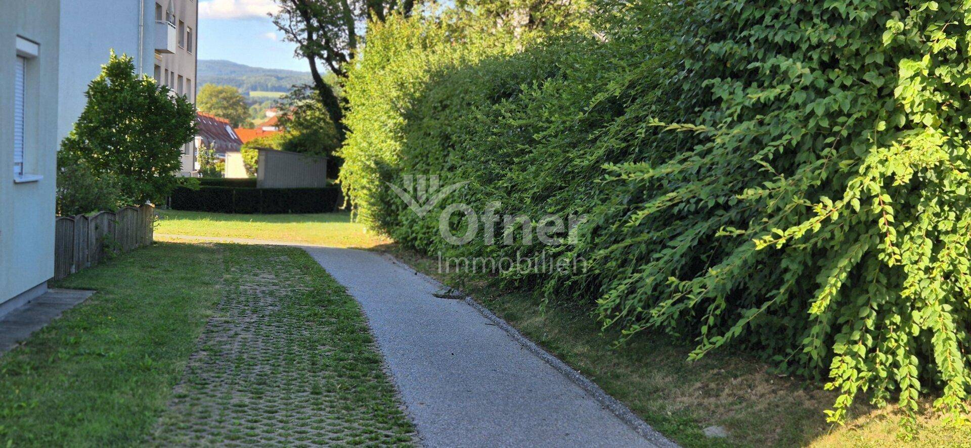 Gehweg neben einem Wohngebäude, gesäumt von einer hohen, grünen Hecke.