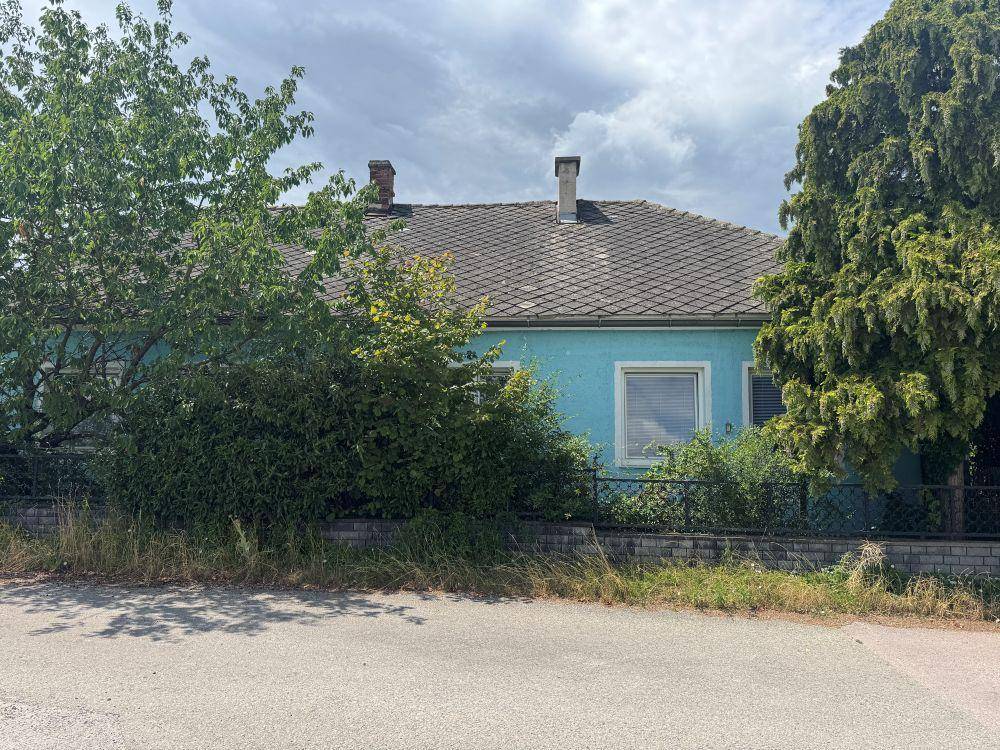 Seitenansicht eines hellblauen Hauses mit Schornsteinen und umgebenden Bäumen unter bewölktem Himmel.