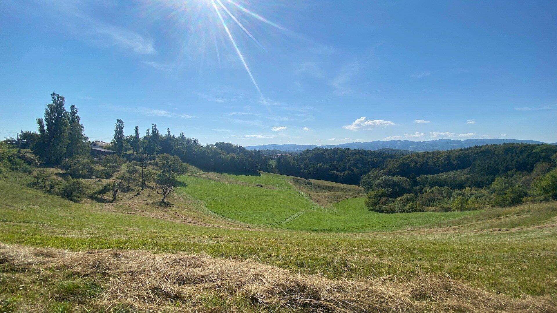 Panoramablick über eine sonnige, grüne Hügellandschaft mit Wäldern und Bergen im Hintergrund.