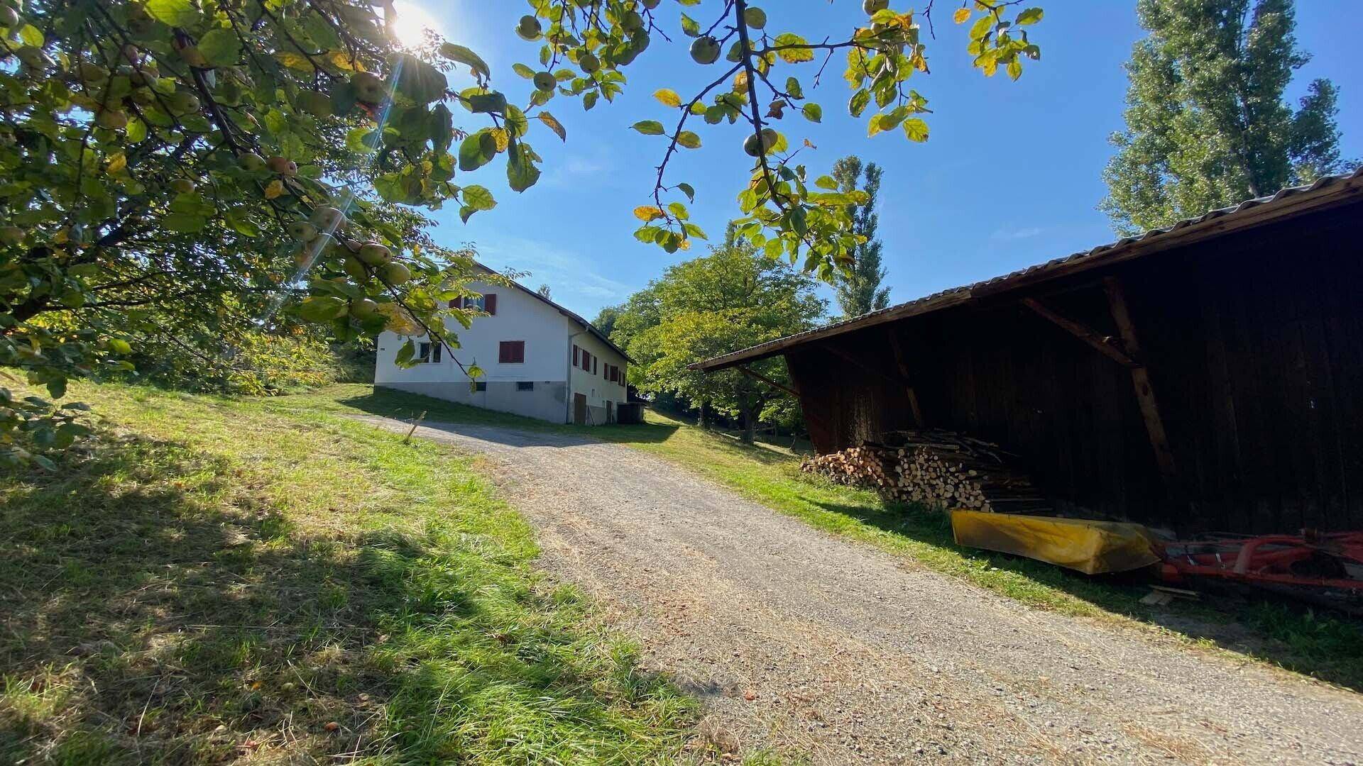Schotterauffahrt führt zu einem ländlichen Haus und einer Scheune, umgeben von Bäumen und Grünflächen.