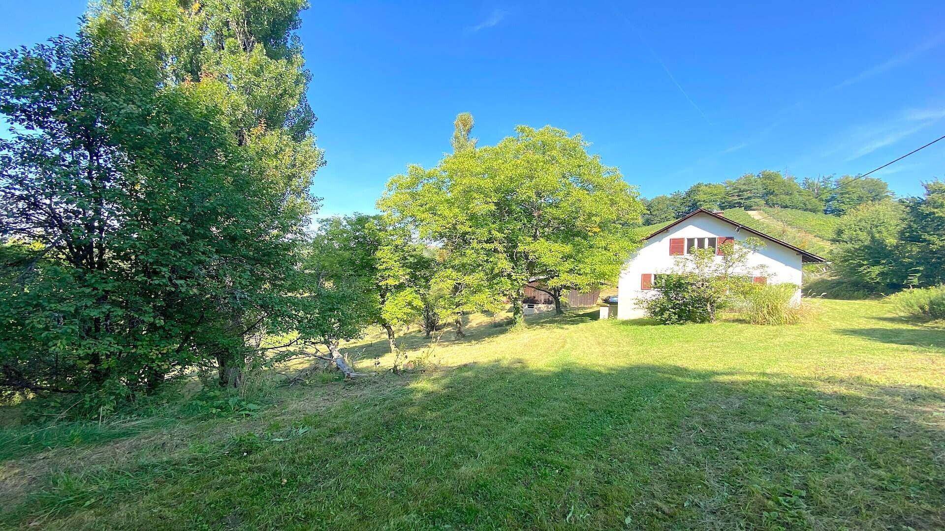 Freistehendes Haus mit roten Fensterläden auf einer weitläufigen Grünfläche unter blauem Himmel.