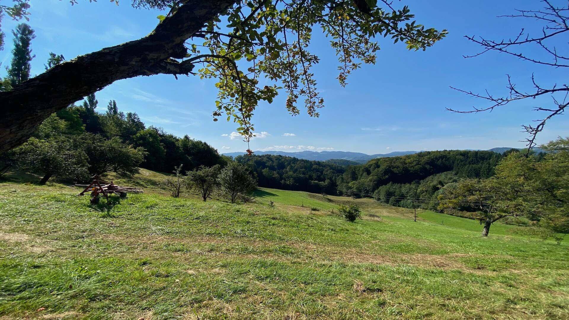 Weitläufige grüne Landschaft mit sanften Hügeln und Wäldern unter einem strahlend blauen Himmel.