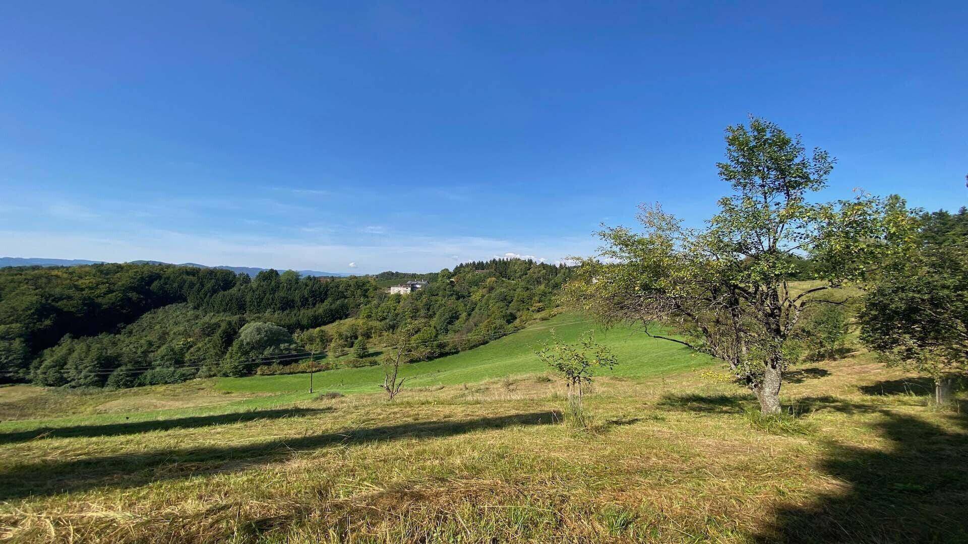 Sonnige, grüne Hügellandschaft mit Wäldern und einem Haus in der Ferne unter blauem Himmel.
