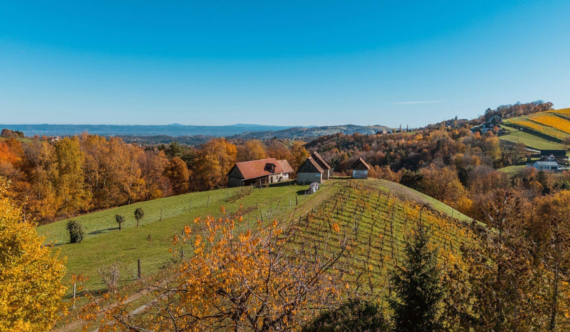 Panoramablick auf ländliche Gebäude inmitten von Weinbergen und herbstlichen Wäldern unter klarem Himmel.