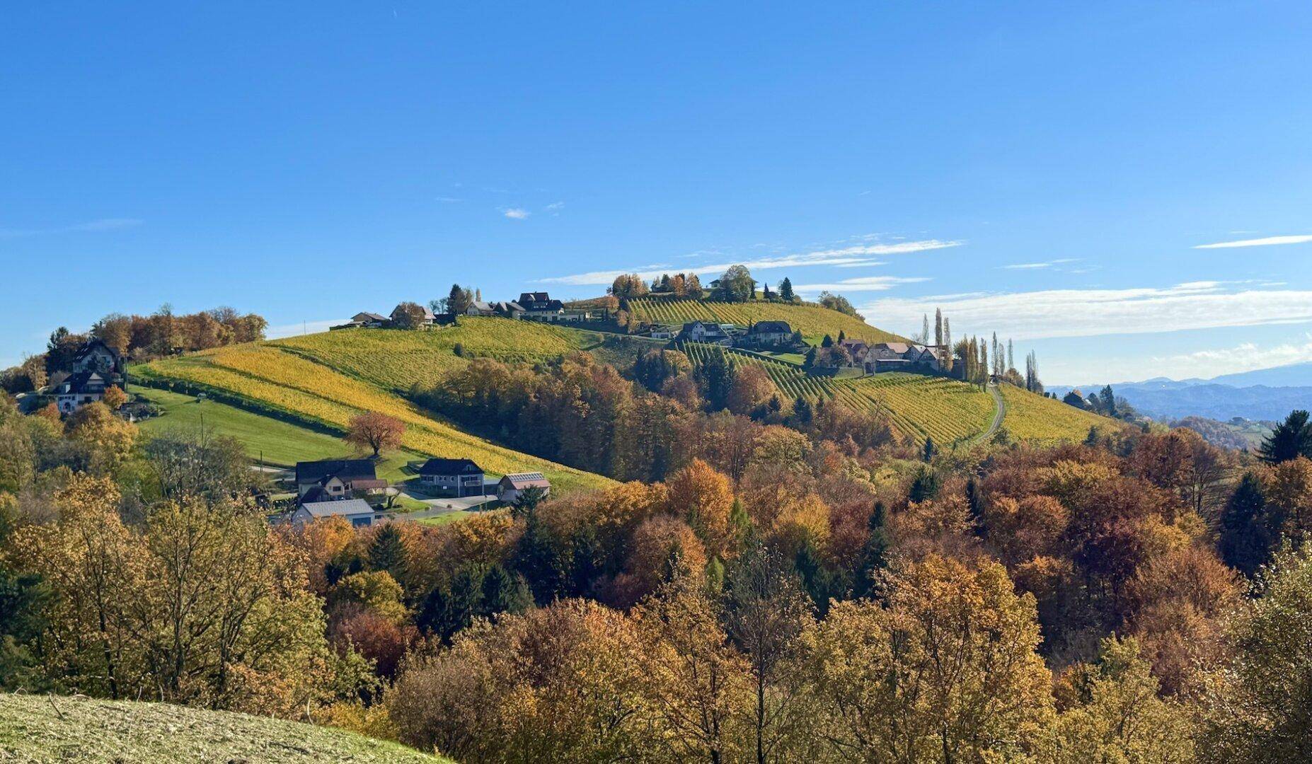 Weitläufige Weinberge und herbstliche Wälder mit verstreuten Häusern auf den Hügeln unter blauem Himmel.