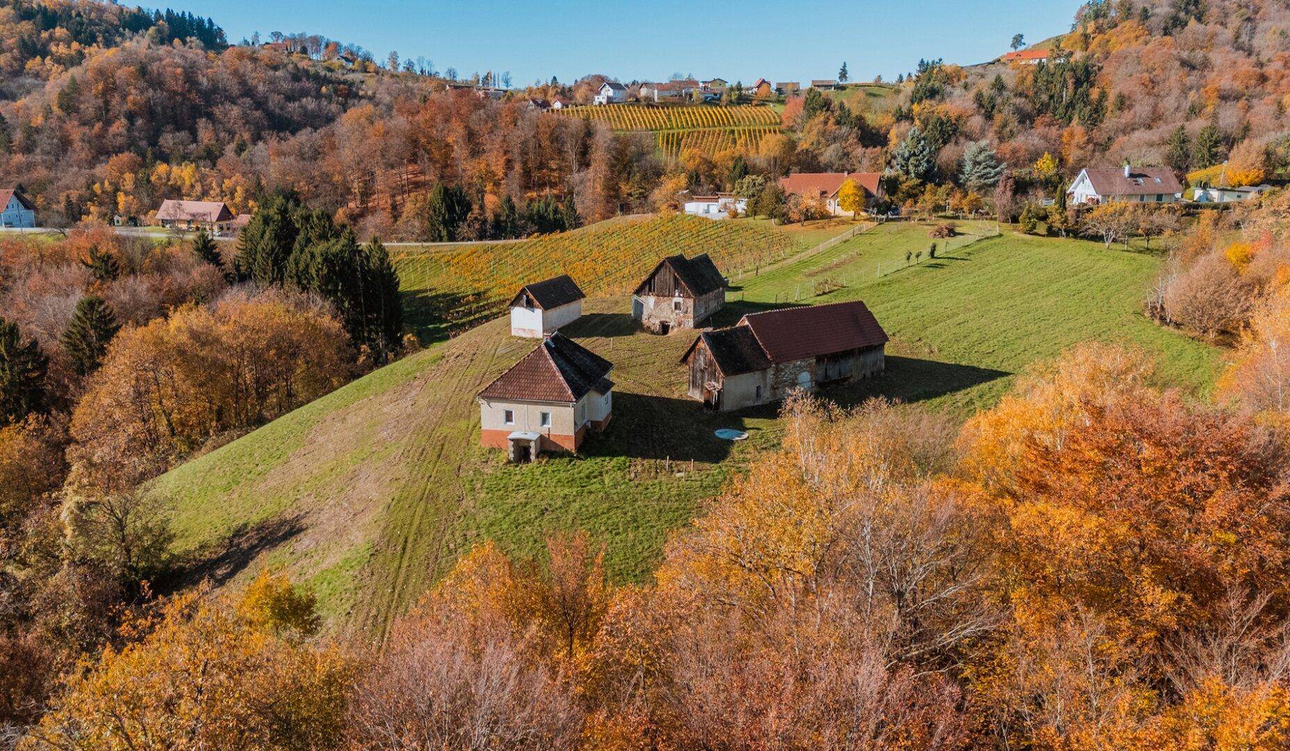 Mehrere ländliche Gebäude auf einem grünen Hügel, umgeben von herbstlichen Bäumen und Weinbergen.
