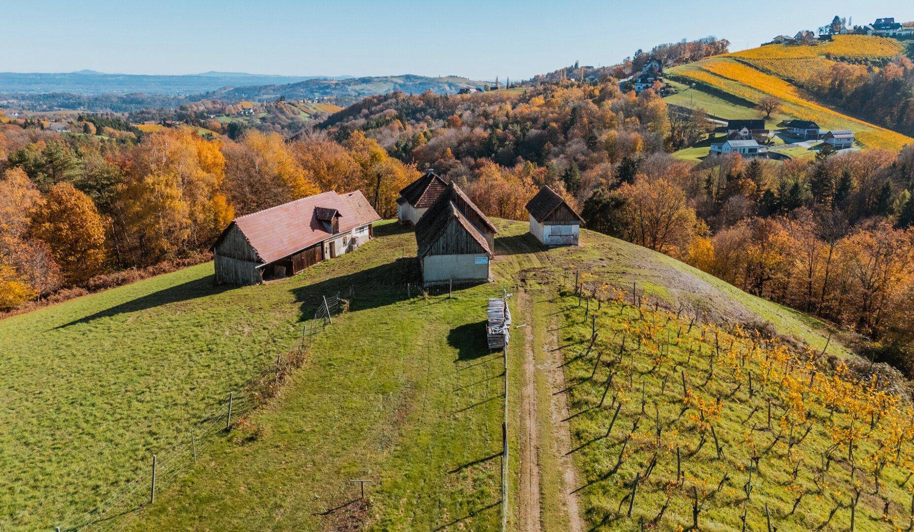 Ländliche Gebäude auf einem Hügel mit einem Feldweg, umgeben von Weinbergen und herbstlicher Natur.
