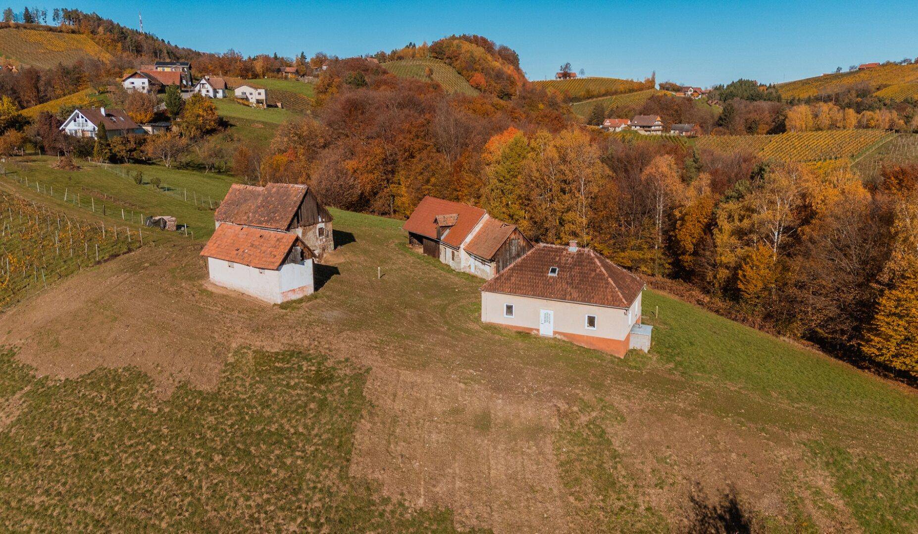 Eine Gruppe ländlicher Häuser auf einem grünen Hügel, umgeben von herbstlichen Bäumen und Weinbergen.