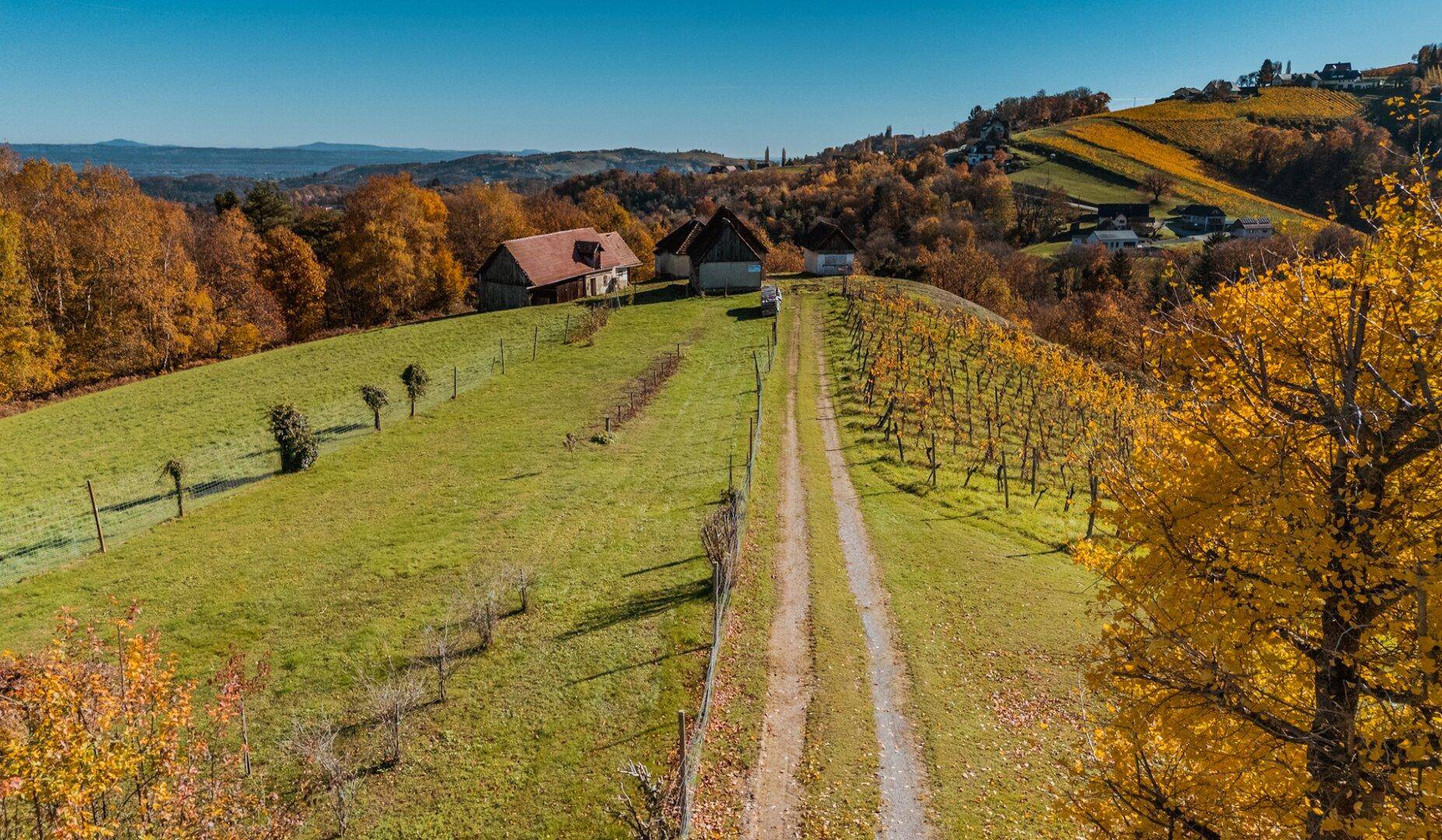 Ländliche Gebäude auf einem Hügel mit einem Feldweg, umgeben von Weinbergen und herbstlicher Natur.