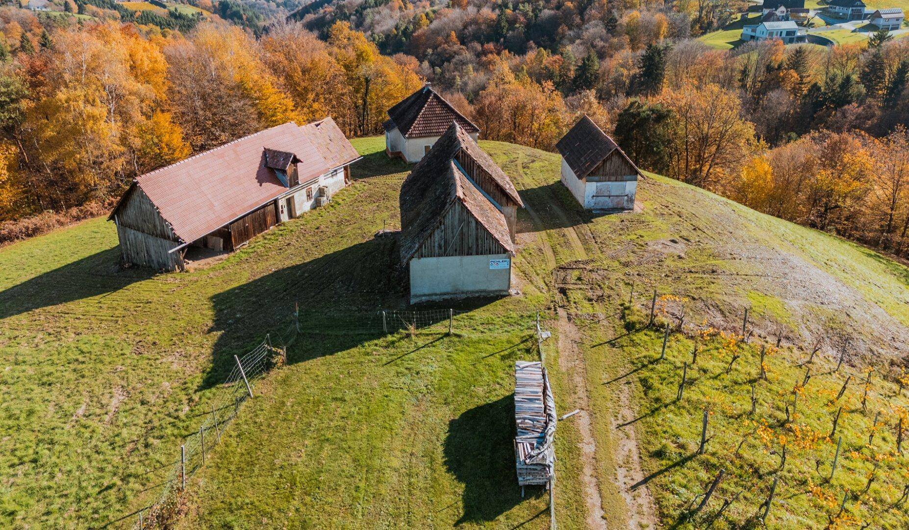 Luftaufnahme von mehreren ländlichen Gebäuden auf einem Hügel, umgeben von Weinbergen und herbstlichen Wäldern.
