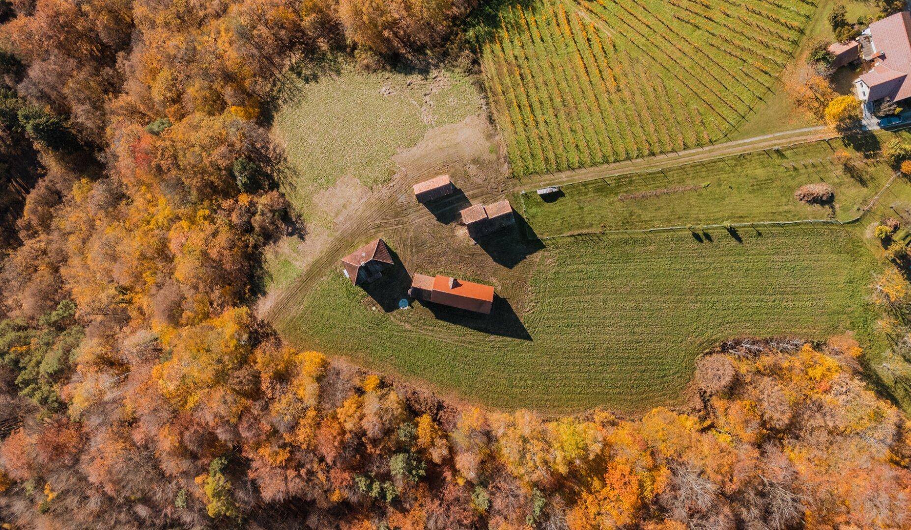 Vogelperspektive des Anwesens mit mehreren Gebäuden, umgeben von Weinbergen und herbstlichen Wäldern.