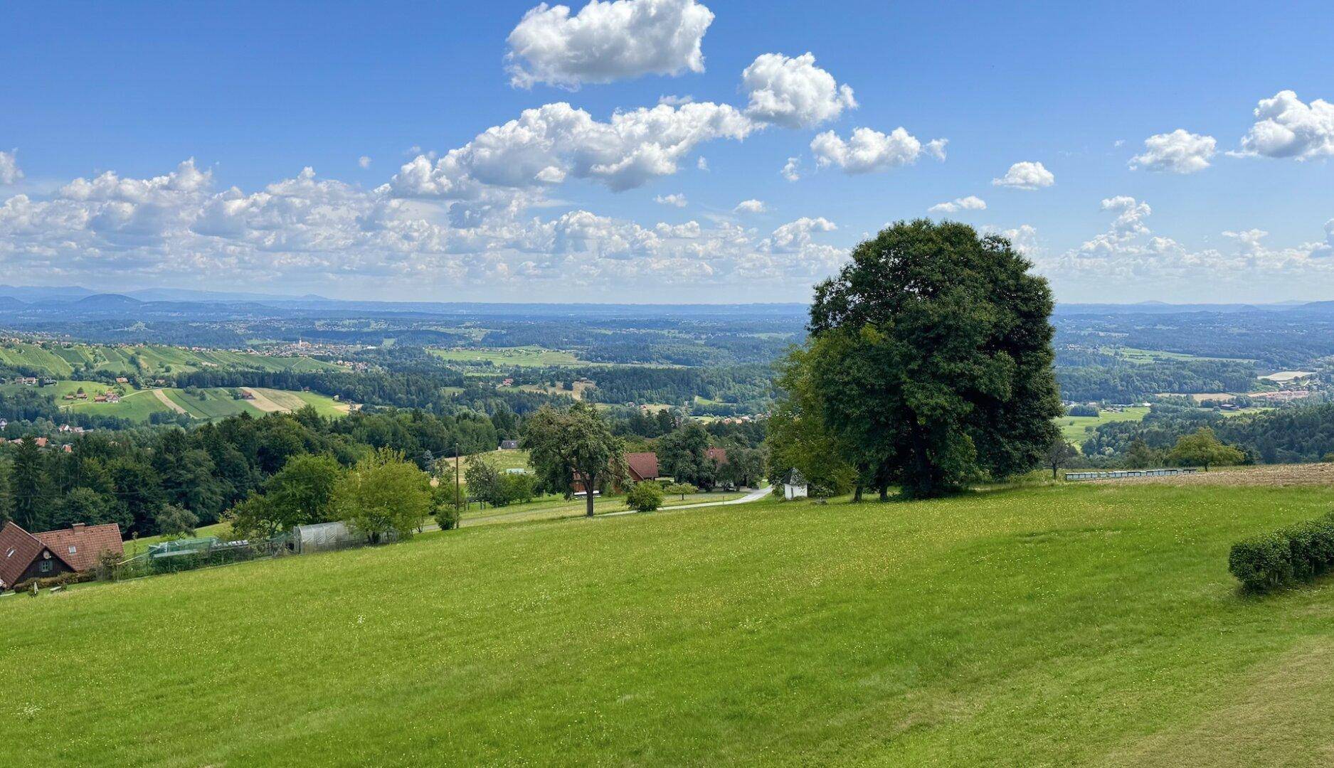 Weitläufige grüne Hügellandschaft unter blauem Himmel mit vereinzelten Häusern und Bäumen in der Ferne.