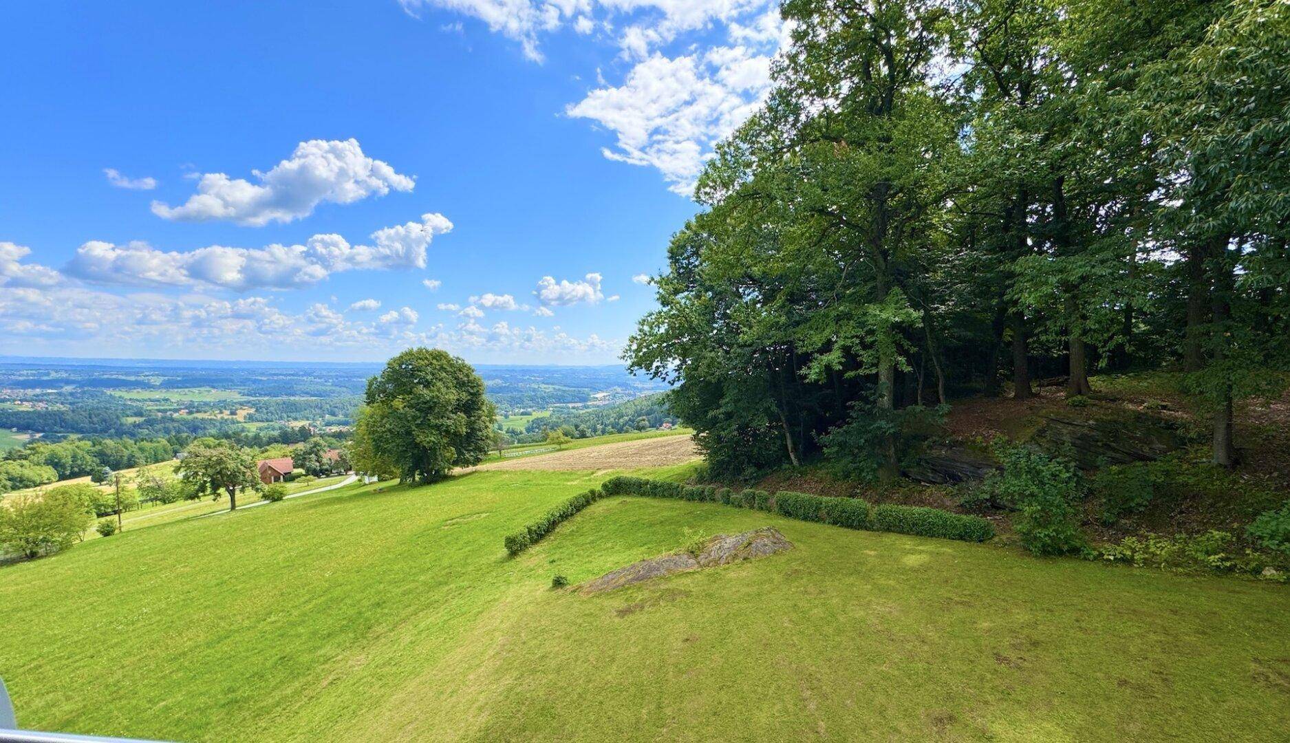 Panoramablick über sanfte grüne Hügel und Wälder unter einem strahlend blauen Himmel mit weißen Wolken.