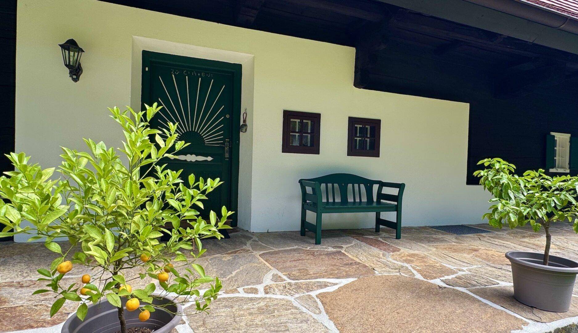 Eingangsbereich des Hauses mit grüner Holztür, Steinplattenboden und dekorativen Pflanzen in Töpfen.