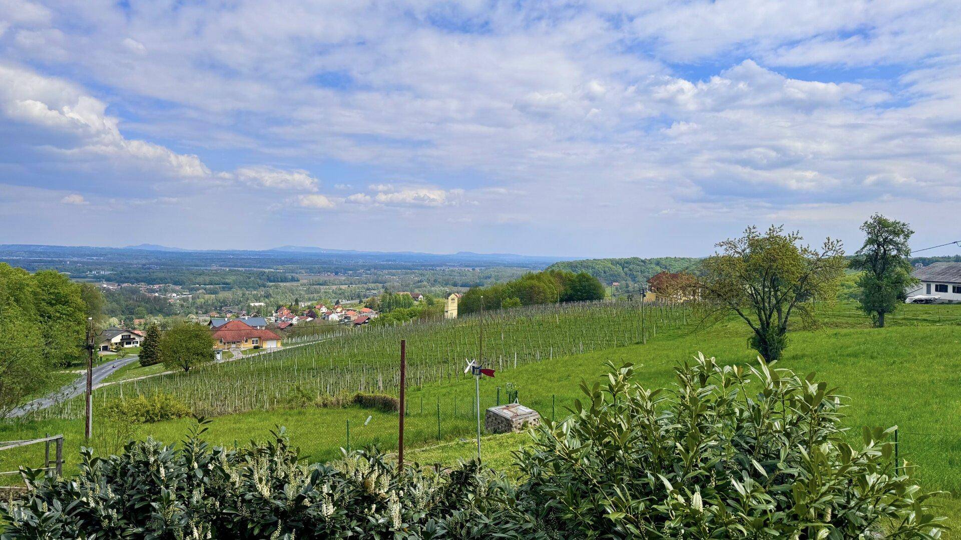 Panoramablick von der Immobilie über Weinberge, eine kleine Ortschaft und die weite Landschaft.