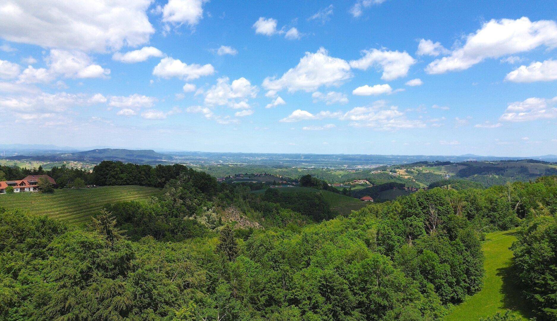 Atemberaubender Panoramablick über eine weite, grüne Hügellandschaft unter blauem Himmel.