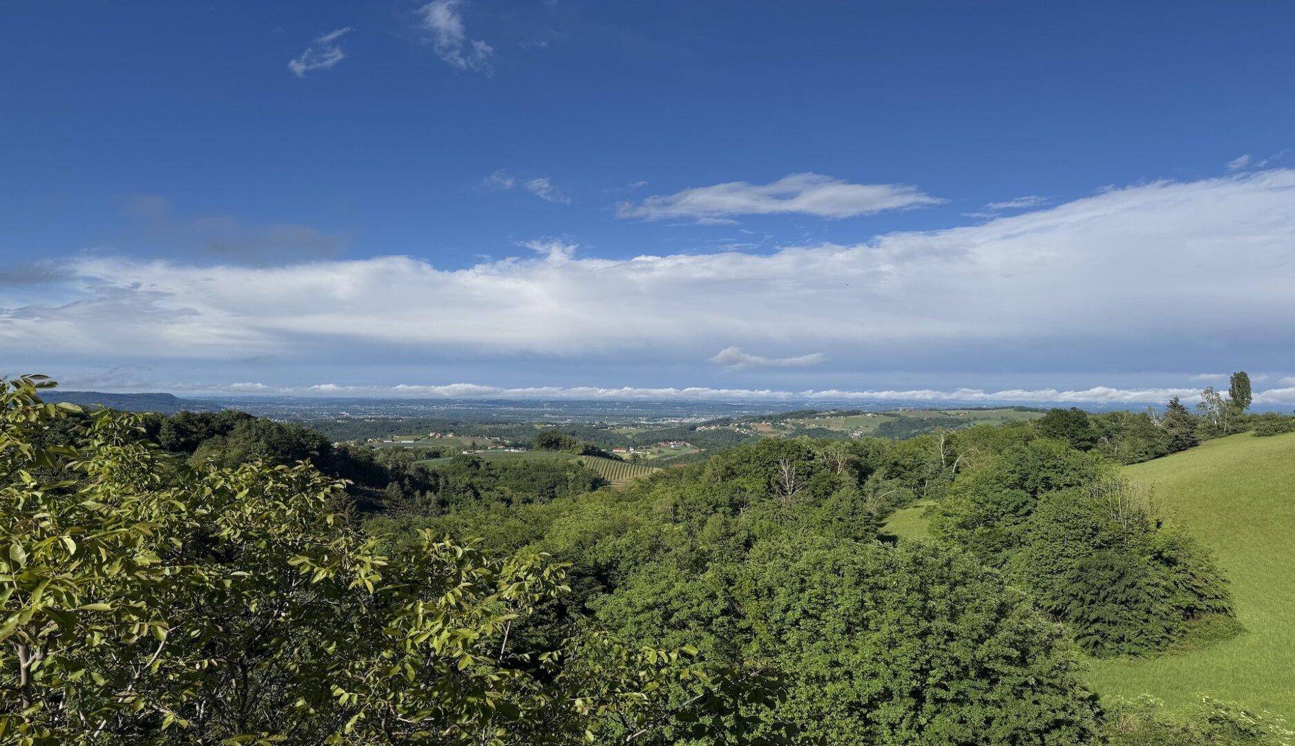 Panoramablick auf die weite Landschaft mit grünen Wäldern und einem klaren Horizont.
