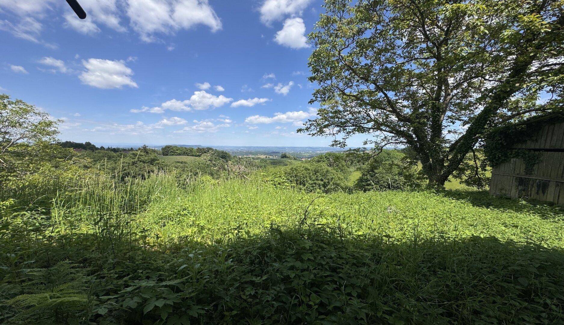 Wild bewachsene Wiese mit weitem Blick über die grüne Landschaft und einen Schuppen.