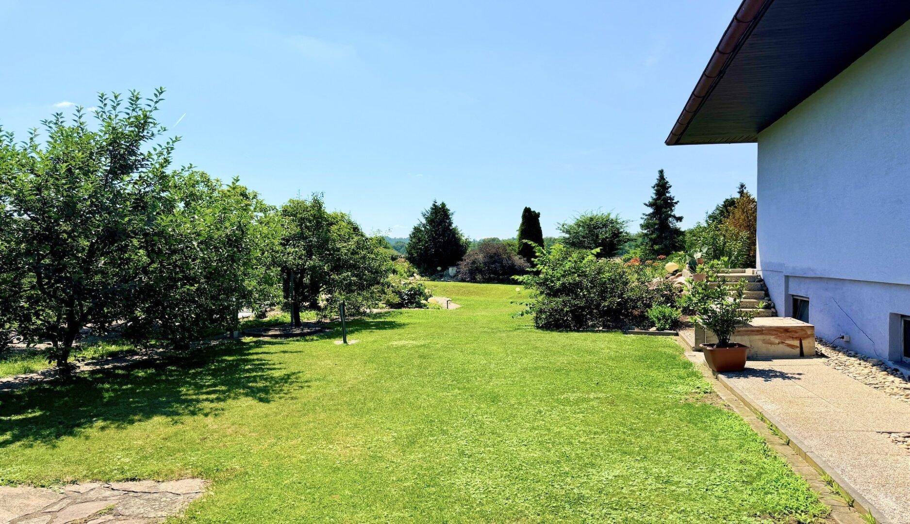 Sonnige Rasenfläche im Garten mit Obstbäumen und Zugang zum Haus an einem klaren Tag.
